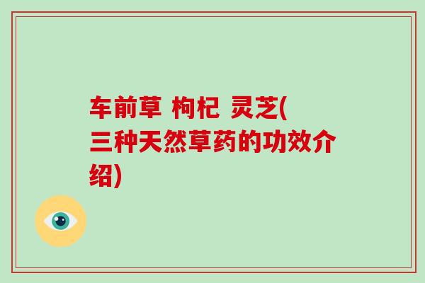 车前草 枸杞 灵芝(三种天然草药的功效介绍)