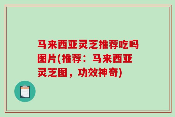 马来西亚灵芝推荐吃吗图片(推荐:马来西亚灵芝图,功效神奇) 马来西亚灵芝推荐吃吗图片(推荐:马来西亚灵芝图,功效神奇)