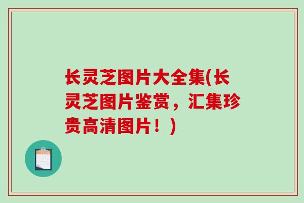 长灵芝图片大全集(长灵芝图片鉴赏，汇集珍贵高清图片！)