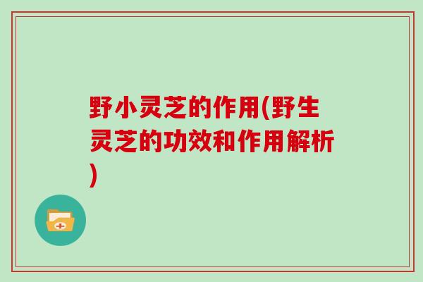 野小灵芝的作用(野生灵芝的功效和作用解析)