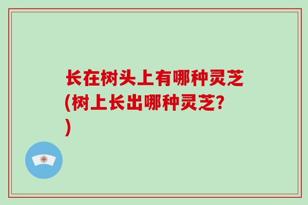 长在树头上有哪种灵芝(树上长出哪种灵芝？)