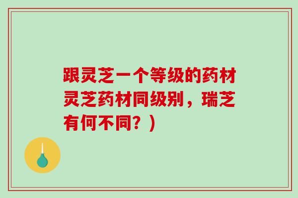 跟灵芝一个等级的药材灵芝药材同级别，瑞芝有何不同？)