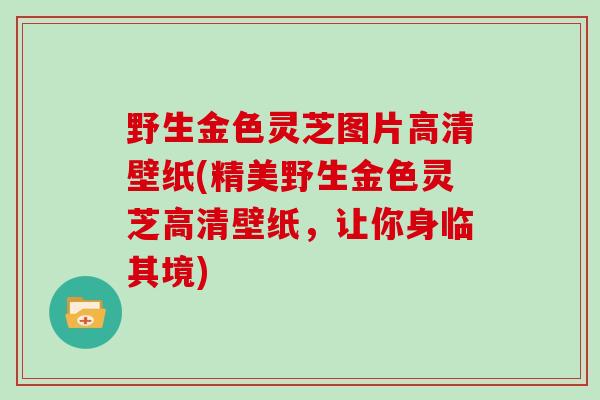 野生金色灵芝图片高清壁纸(精美野生金色灵芝高清壁纸，让你身临其境)