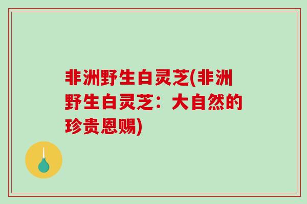 非洲野生白灵芝(非洲野生白灵芝：大自然的珍贵恩赐)