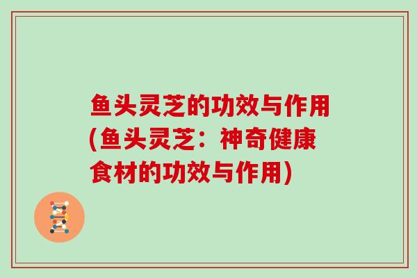 鱼头灵芝的功效与作用(鱼头灵芝：神奇健康食材的功效与作用)