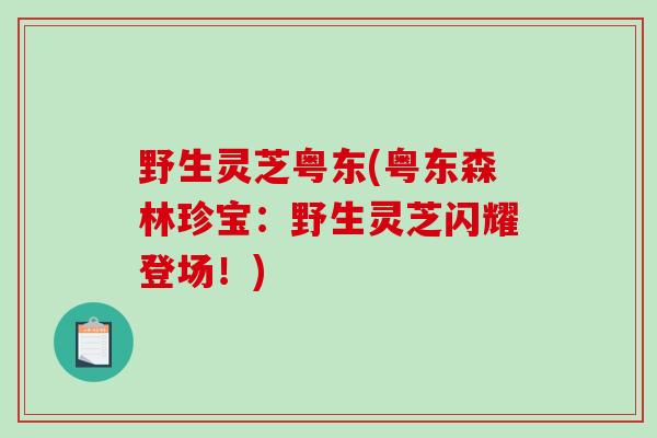 野生灵芝粤东(粤东森林珍宝：野生灵芝闪耀登场！)