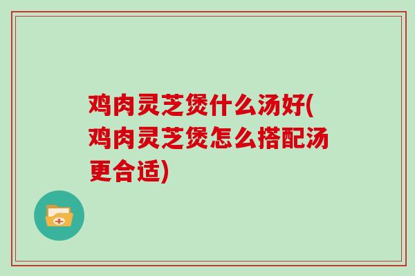 鸡肉灵芝煲什么汤好(鸡肉灵芝煲怎么搭配汤更合适)