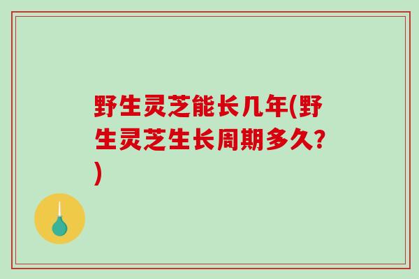 野生灵芝能长几年(野生灵芝生长周期多久？)