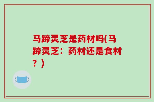 马蹄灵芝是药材吗(马蹄灵芝：药材还是食材？)