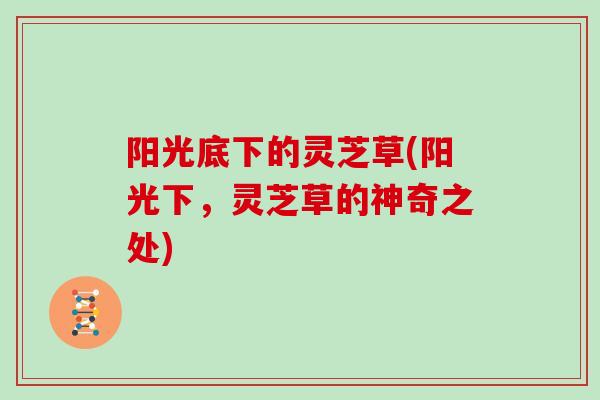 阳光底下的灵芝草(阳光下，灵芝草的神奇之处)