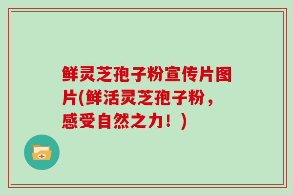 鲜灵芝孢子粉宣传片图片(鲜活灵芝孢子粉，感受自然之力！)