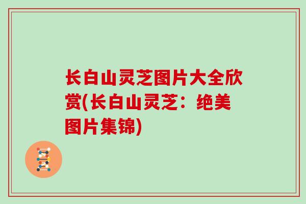 长白山灵芝图片大全欣赏(长白山灵芝：绝美图片集锦)