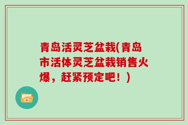 青岛活灵芝盆栽(青岛市活体灵芝盆栽销售火爆，赶紧预定吧！)