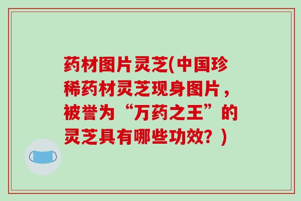 药材图片灵芝(中国珍稀药材灵芝现身图片，被誉为“万药之王”的灵芝具有哪些功效？)