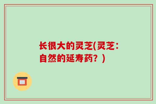 长很大的灵芝(灵芝：自然的延寿药？)