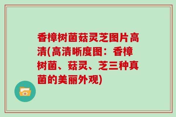 香樟树菌菇灵芝图片高清(高清晰度图：香樟树菌、菇灵、芝三种真菌的美丽外观)