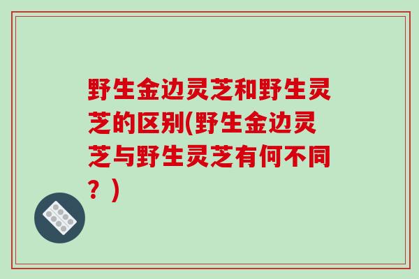 野生金边灵芝和野生灵芝的区别(野生金边灵芝与野生灵芝有何不同？)
