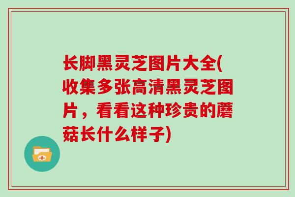 长脚黑灵芝图片大全(收集多张高清黑灵芝图片，看看这种珍贵的蘑菇长什么样子)