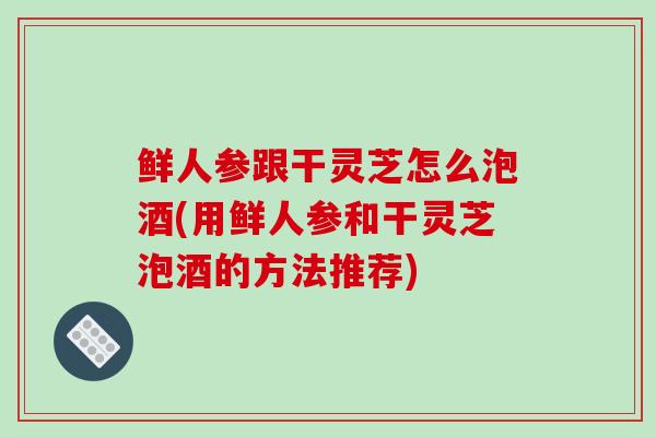 鲜人参跟干灵芝怎么泡酒(用鲜人参和干灵芝泡酒的方法推荐)