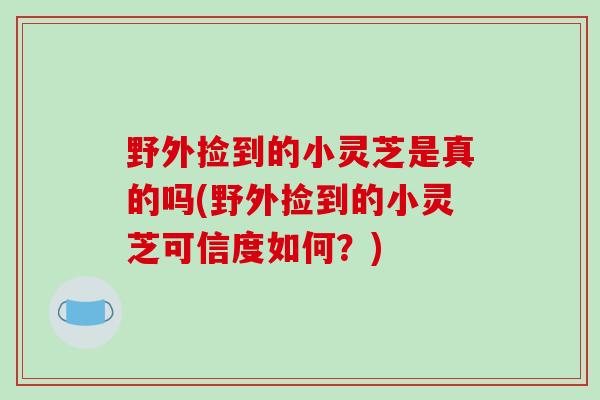 野外捡到的小灵芝是真的吗(野外捡到的小灵芝可信度如何？)