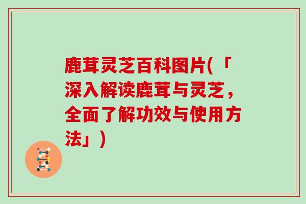 鹿茸灵芝百科图片(「深入解读鹿茸与灵芝，全面了解功效与使用方法」)