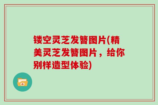 镂空灵芝发簪图片(精美灵芝发簪图片，给你别样造型体验)