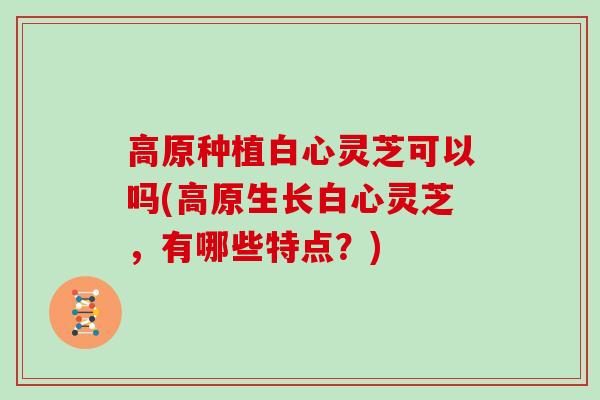 高原种植白心灵芝可以吗(高原生长白心灵芝，有哪些特点？)