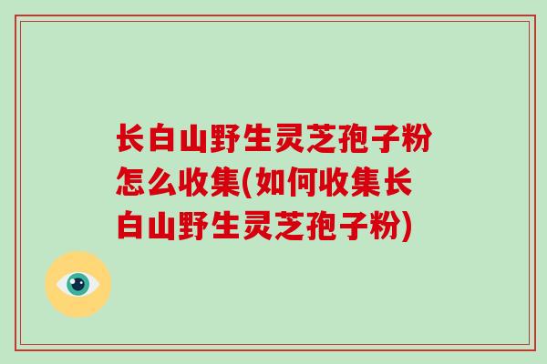 长白山野生灵芝孢子粉怎么收集(如何收集长白山野生灵芝孢子粉)