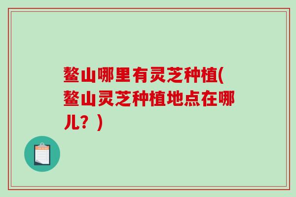 鳌山哪里有灵芝种植(鳌山灵芝种植地点在哪儿？)