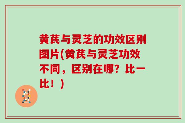 黄芪与灵芝的功效区别图片(黄芪与灵芝功效不同，区别在哪？比一比！)