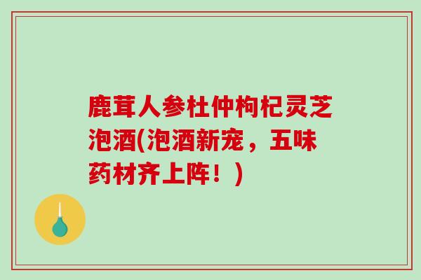 鹿茸人参杜仲枸杞灵芝泡酒(泡酒新宠，五味药材齐上阵！)