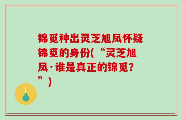 锦觅种出灵芝旭凤怀疑锦觅的身份(“灵芝旭凤·谁是真正的锦觅？”)
