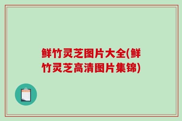 鲜竹灵芝图片大全(鲜竹灵芝高清图片集锦)