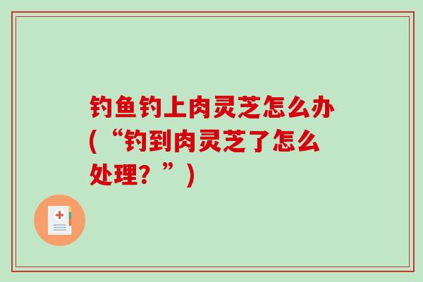 钓鱼钓上肉灵芝怎么办(“钓到肉灵芝了怎么处理？”)