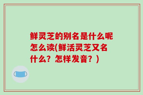 鲜灵芝的别名是什么呢怎么读(鲜活灵芝又名什么？怎样发音？)
