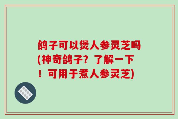 鸽子可以煲人参灵芝吗(神奇鸽子？了解一下！可用于煮人参灵芝)