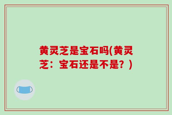 黄灵芝是宝石吗(黄灵芝：宝石还是不是？)