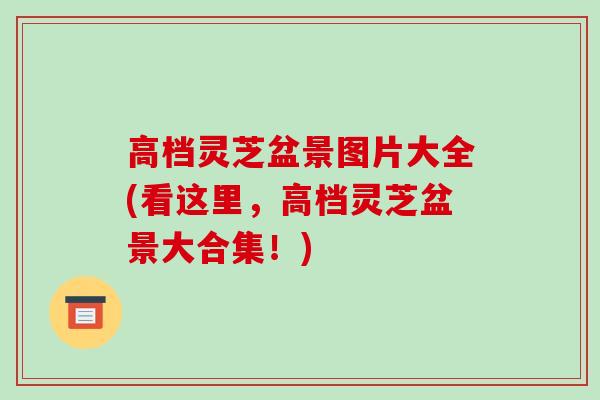 高档灵芝盆景图片大全(看这里，高档灵芝盆景大合集！)