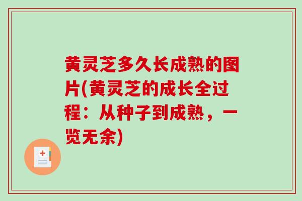 黄灵芝多久长成熟的图片(黄灵芝的成长全过程：从种子到成熟，一览无余)