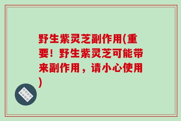 野生紫灵芝副作用(重要！野生紫灵芝可能带来副作用，请小心使用)