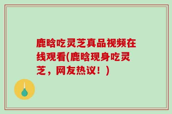 鹿晗吃灵芝真品视频在线观看(鹿晗现身吃灵芝，网友热议！)