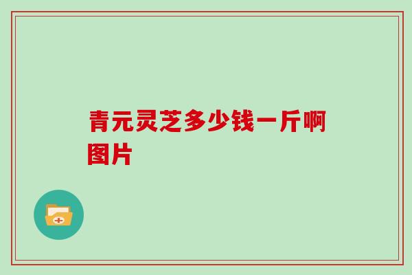 青元灵芝多少钱一斤啊图片