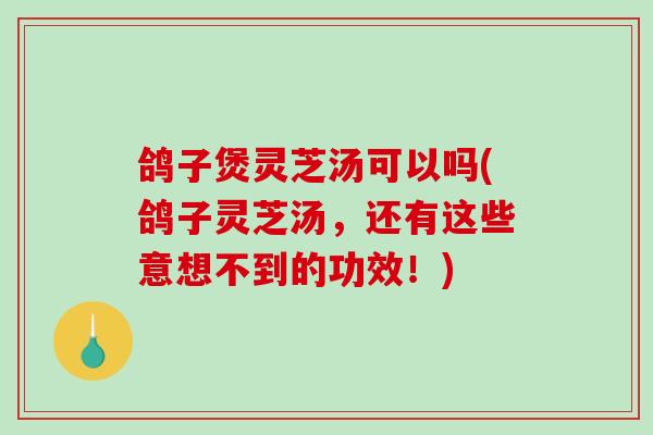 鸽子煲灵芝汤可以吗(鸽子灵芝汤，还有这些意想不到的功效！)