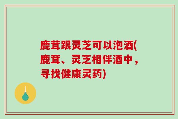 鹿茸跟灵芝可以泡酒(鹿茸、灵芝相伴酒中，寻找健康灵药)