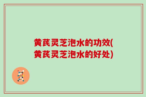 黄芪灵芝泡水的功效(黄芪灵芝泡水的好处)