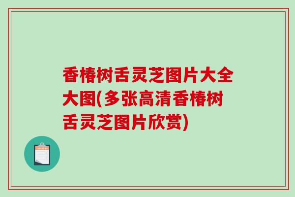 香椿树舌灵芝图片大全大图(多张高清香椿树舌灵芝图片欣赏)