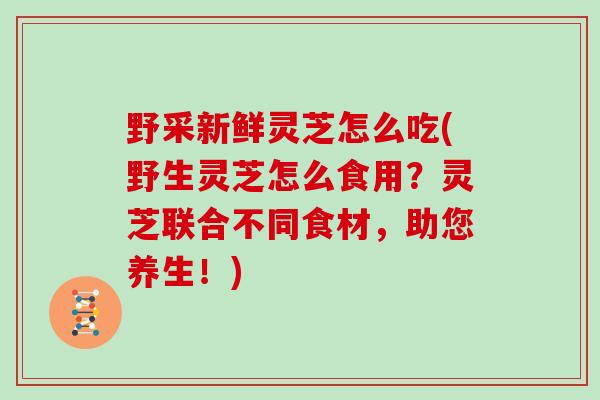 野采新鲜灵芝怎么吃(野生灵芝怎么食用？灵芝联合不同食材，助您养生！)