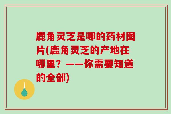 鹿角灵芝是哪的药材图片(鹿角灵芝的产地在哪里？——你需要知道的全部)