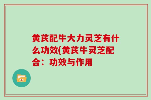 黄芪配牛大力灵芝有什么功效(黄芪牛灵芝配合：功效与作用