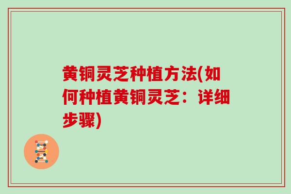 黄铜灵芝种植方法(如何种植黄铜灵芝：详细步骤)